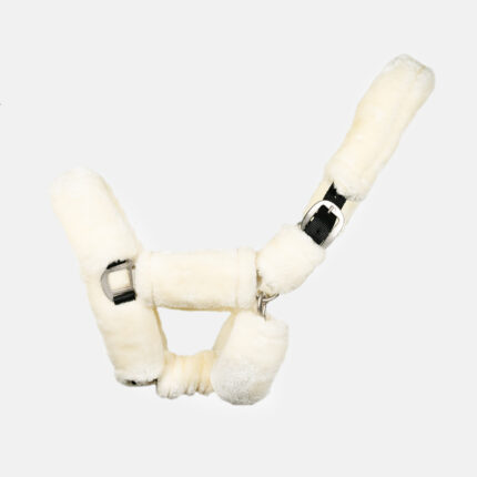 Canter - Licol Avec Mouton De Transport Blanc