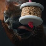 Happy Crackers - Happy Wild Calm – Image 3