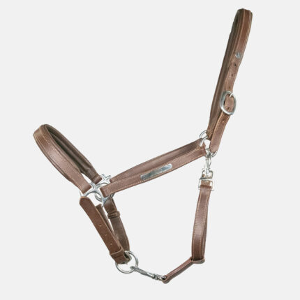 Norton - Licol En Cuir Grooming Havane