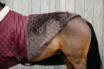 Kentucky Horsewear - Couverture De Présentation 160g Bordeaux – Image 2