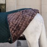 Kentucky Horsewear - Couverture De Box 400G Vert Sapin – Image 3