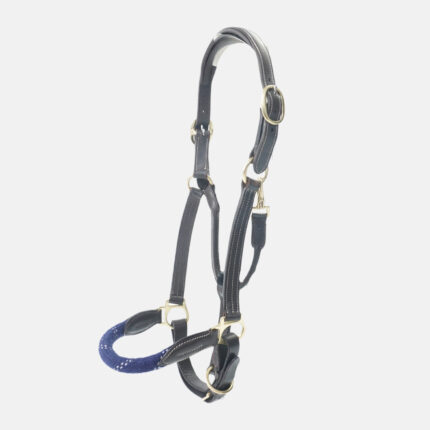 Canter - Licol En Cuir Avec Corde Bouclerie Or  Marron / Marine