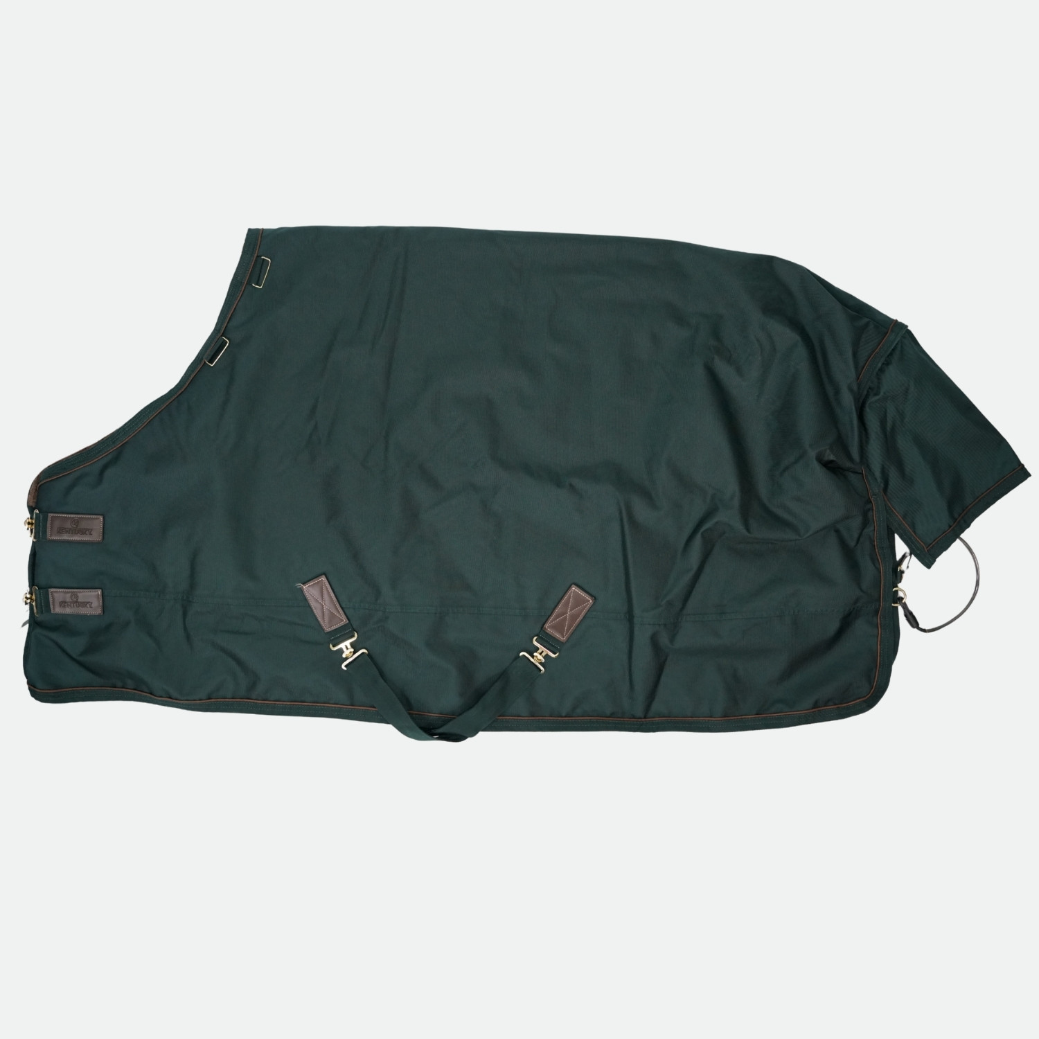 Kentucky-Horsewear-Couverture-DExterieur-All-Weather-Pro-160G-Vert-Sapin-cheval-occasion-1-ART0093544 Kentucky Horsewear - Couverture D’Extérieur All Weather Pro 160G Vert Sapin – Image 1