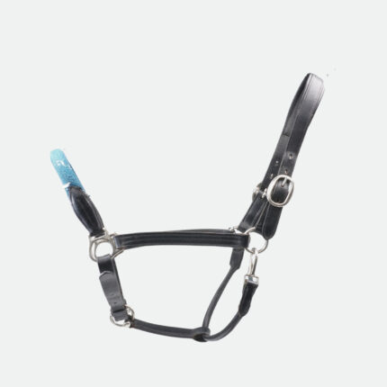 Canter - Licol En Cuir Avec Corde Bouclerie Argent Noir / Emeraude