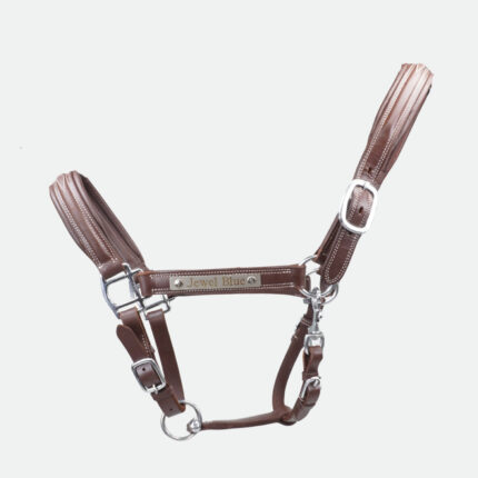 Smartwag - Licol En Cuir Exclusif Marron Bouclerie Argent