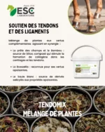 ESC Laboratoire - TENDOMIX – Soutien des tendons et des ligaments cheval – Image 2