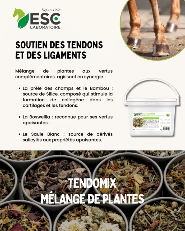 ESC Laboratoire - TENDOMIX – Soutien des tendons et des ligaments cheval – Image 2