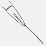 Devoucoux Sellier - Colliers De Chasse Élastique Havane