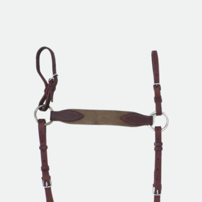 Devoucoux Sellier - Colliers De Chasse Élastique Havane – Image 3