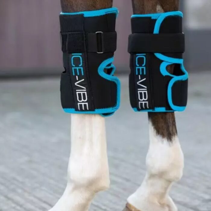 Horseware - Ice-Vibe Protège Genou De Repos Froides & Vibrantes Noir – Image 2