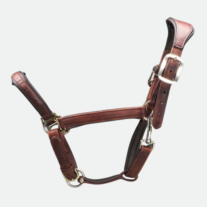 Lemieux - Licol En Cuir Anatomique Marron – Image 1