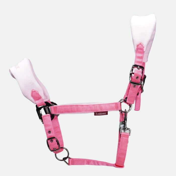 Lemieux - Licol en Nylon Vogue Avec Longe Watermelon – Image 1