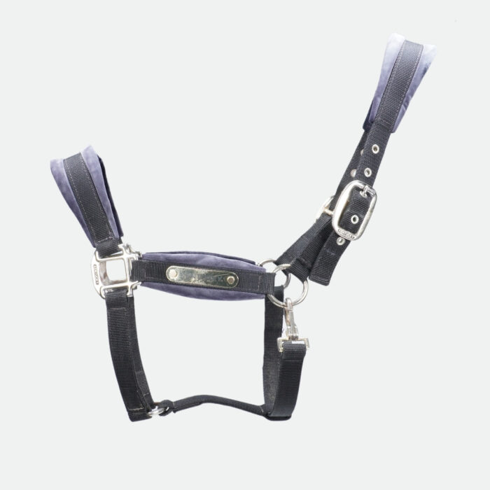 Kentucky Horsewear - Licols En Nylon Velvet Noir – Image 1