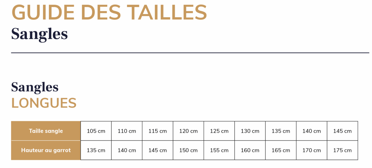 Guide des tailles sangles longues Antares Sellier