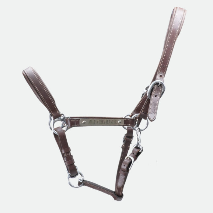 Smartwag - Licol En Cuir Soul Marron Bouclerie Argent – Image 1