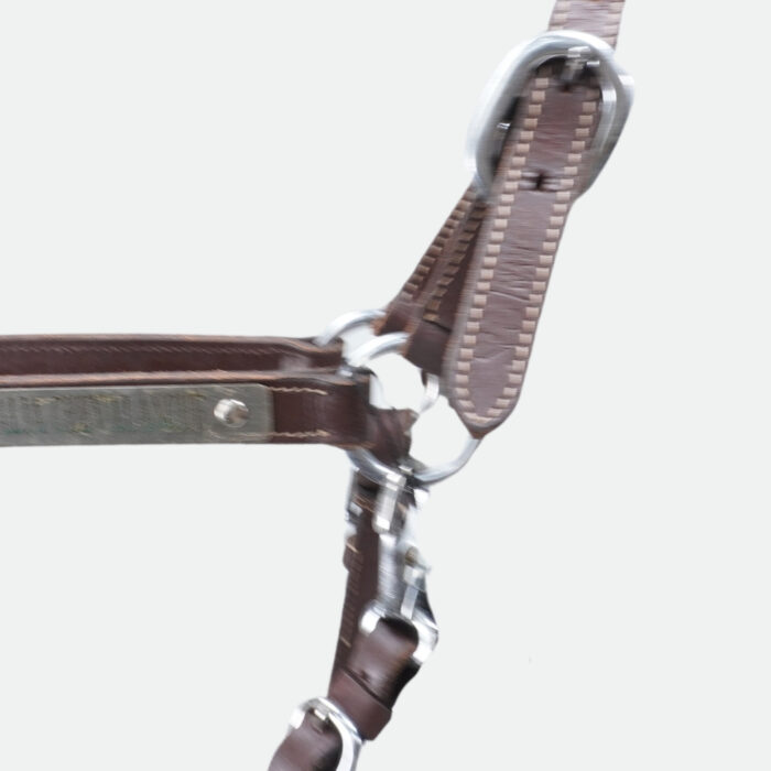 Smartwag - Licol En Cuir Soul Marron Bouclerie Argent – Image 3