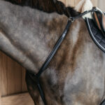 Dy'On - Colliers De Chasse À Pont Tressé New English Collection Noir – Image 5