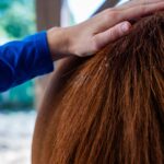 Cura naturale - Huile nourrissante – Image 3