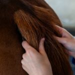 Cura naturale - Huile nourrissante – Image 4