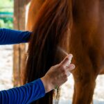 Cura naturale - Huile nourrissante – Image 6