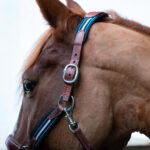 Antares Sellier - Licol En Cuir Stressless Marron – Image 2