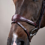 Dy'On - Bridon Muserolle Combinée Anatomique New English Collection Marron – Image 3