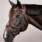 Dy'On - Bridon Muserolle Combinée Anatomique New English Collection Marron – Image 2