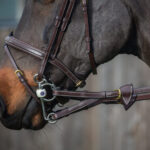 Dy'On - Rênes A Alliances Caoutchouc 1 / 2 Avec 7 Arretoirs D Collection Marron – Image 2