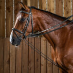 Dy'On - Rênes Allemandes Cuir / Nylon Draw Reins 5 8 Working By Noir – Image 2