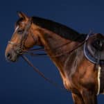 Dy'On - Rênes Allemandes Full Leather Draw Reins 1 / 2 Collection Us Jumping Marron