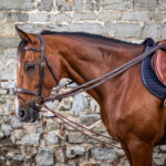 Dy'On - Rênes Allemandes Leather / Nylon Draw Reins 5 8 D Collection Marron – Image 2