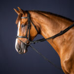 Dy'On - Rênes Allemandes Leather / Nylon Draw Reins 5 8 New English Collection Noir – Image 2