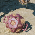 Kentucky Horsewear - Balle De Jeu / À Foin Bordeaux – Image 2