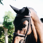 Kentucky Horsewear - Bonnet Long Stone & Pearl Soundless Noir – Image 3