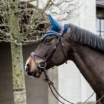 Kentucky Horsewear - Bonnet Wellington Basic Velvet Marine – Image 3