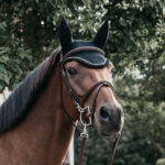 Kentucky Horsewear - Bonnet Wellington Corduroy Noir – Image 3