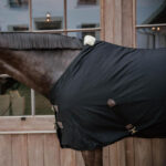 Kentucky Horsewear - Chemise De Box Classic 0G Noir – Image 3