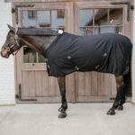 Kentucky Horsewear - Chemise De Box Classic 0G Noir – Image 2