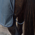 Kentucky Horsewear - Chemise Séchantes Combo Mesh Marine – Image 5