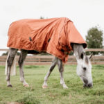 Kentucky Horsewear - Couverture D’Extérieur All Weather Pro 160G Orange – Image 2