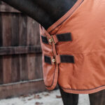 Kentucky Horsewear - Couverture D’Extérieur All Weather Pro 160G Orange – Image 3