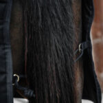 Kentucky Horsewear - Couverture De Box Classic 200G Noir – Image 6