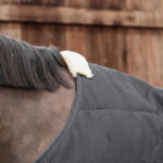 Kentucky Horsewear - Couverture De Box Classic 200G Noir – Image 5