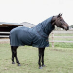 Kentucky Horsewear - Couvertures Anti Mouches Imperméable Combo Classic Marine – Image 2
