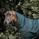 Kentucky Horsewear - Couvre Cou All Weather Pro 150G Vert Sapin – Image 2
