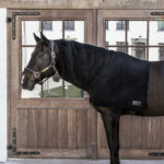 Kentucky Horsewear - Couvre Cou Fleece Noir – Image 2