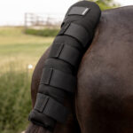 Kentucky Horsewear - Protège-Queue Pro Noir – Image 2