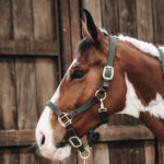 Kentucky Horsewear - Licols En Nylon Tressé Vert Olive – Image 2