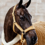 Kentucky Horsewear - Licols En Nylon Velvet Moutarde – Image 2