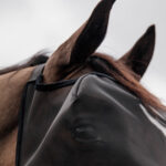 Kentucky Horsewear - Masque Anti Mouches Classic Sans Oreilles Noir – Image 5